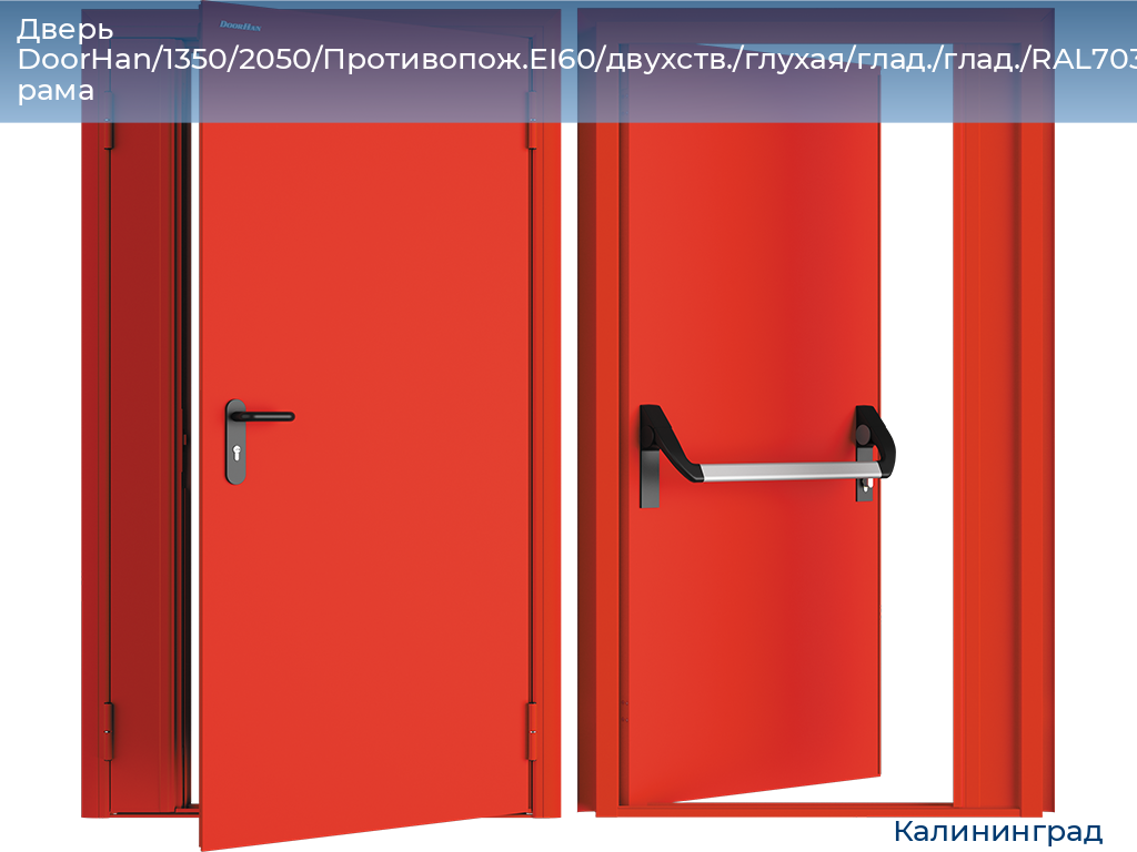 Дверь DoorHan/1350/2050/Противопож.EI60/двухств./глухая/глад./глад./RAL7035/лев./угл. рама, kaliningrad.doorhan.ru