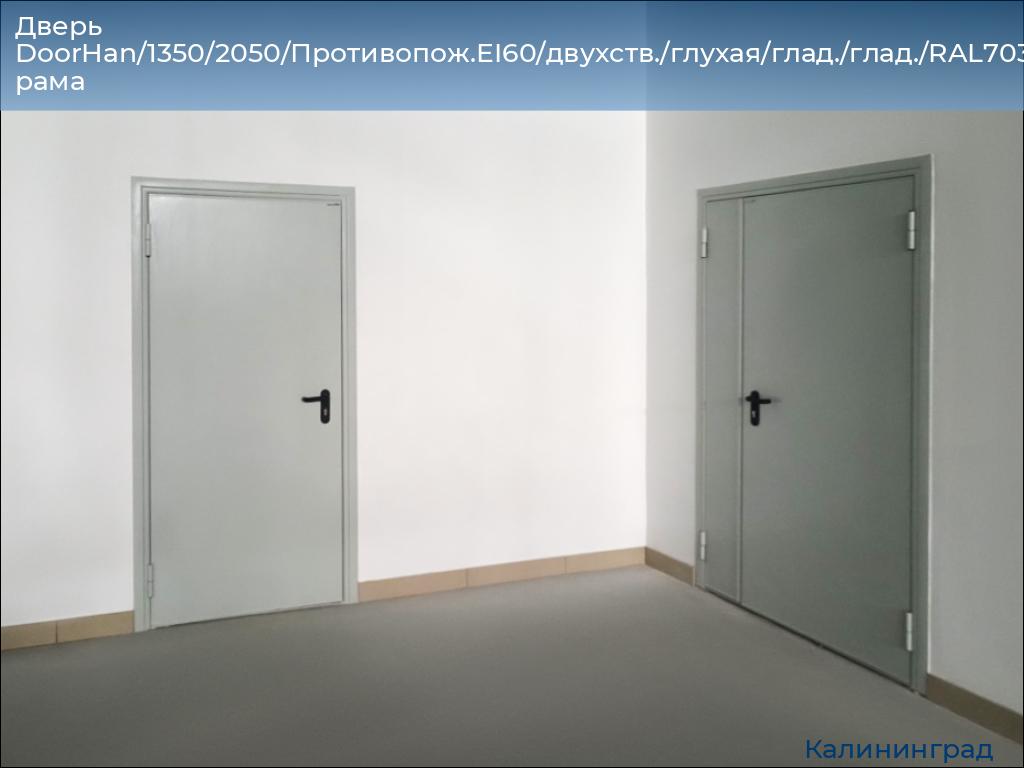 Дверь DoorHan/1350/2050/Противопож.EI60/двухств./глухая/глад./глад./RAL7035/лев./угл. рама, kaliningrad.doorhan.ru