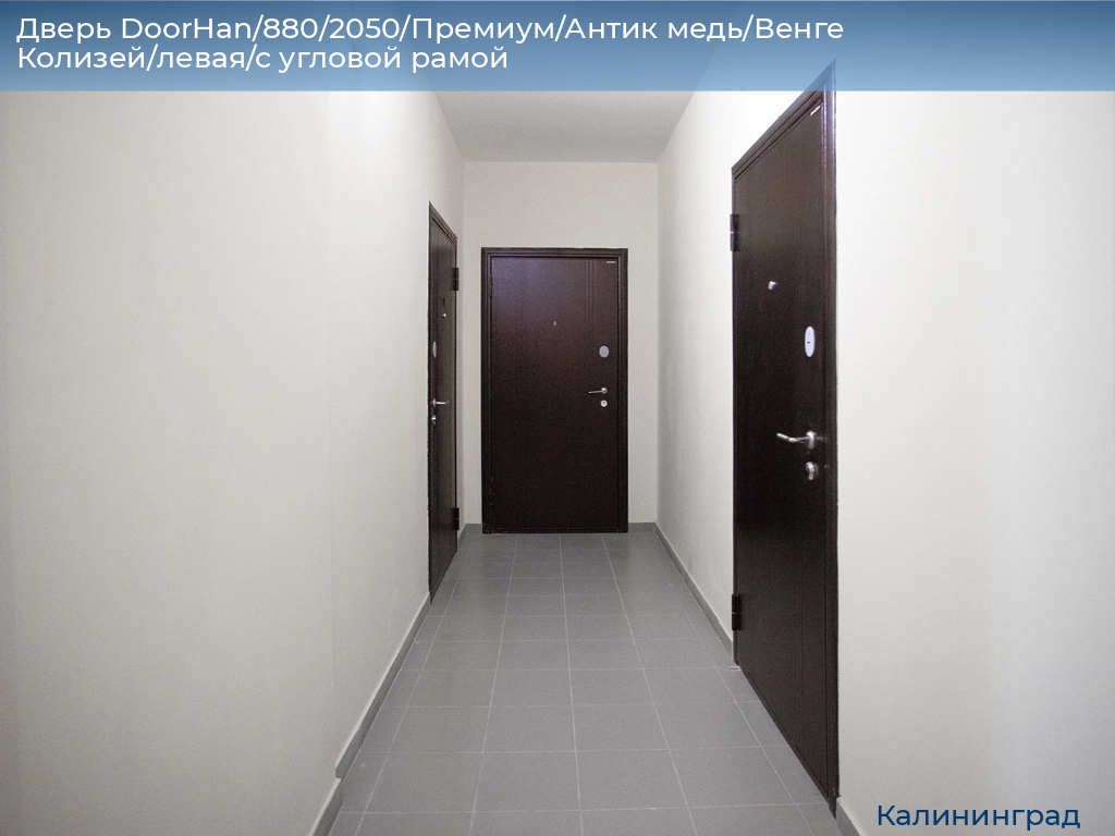 Дверь DoorHan/880/2050/Премиум/Антик медь/Венге Колизей/левая/с угловой рамой, kaliningrad.doorhan.ru