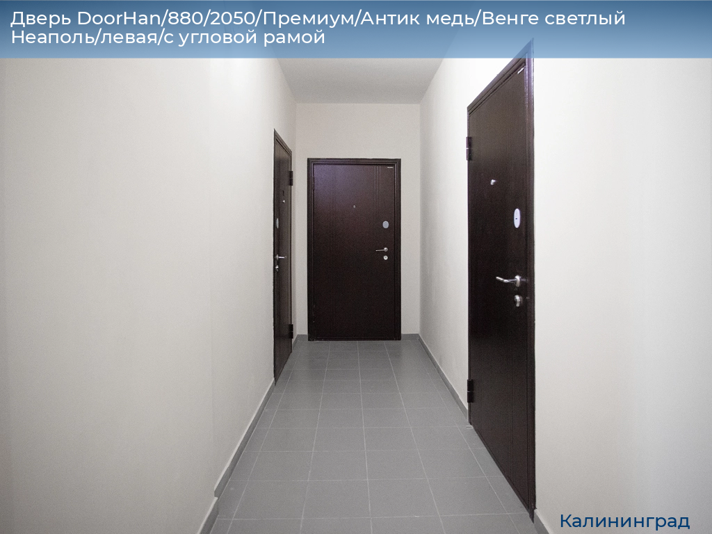 Дверь DoorHan/880/2050/Премиум/Антик медь/Венге светлый Неаполь/левая/с угловой рамой, kaliningrad.doorhan.ru