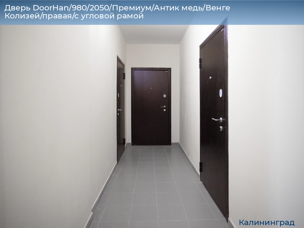 Дверь DoorHan/980/2050/Премиум/Антик медь/Венге Колизей/правая/с угловой рамой, kaliningrad.doorhan.ru
